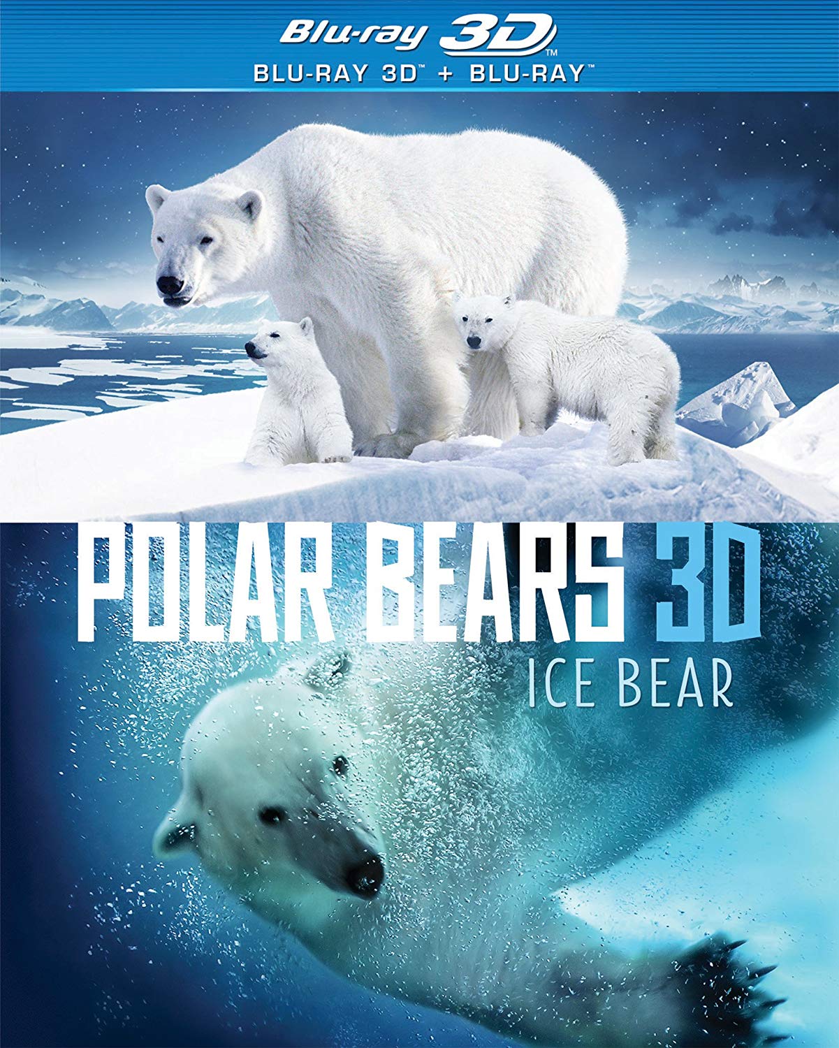 Arctic Bear Productions: Ice Bear 3D Film Documentary